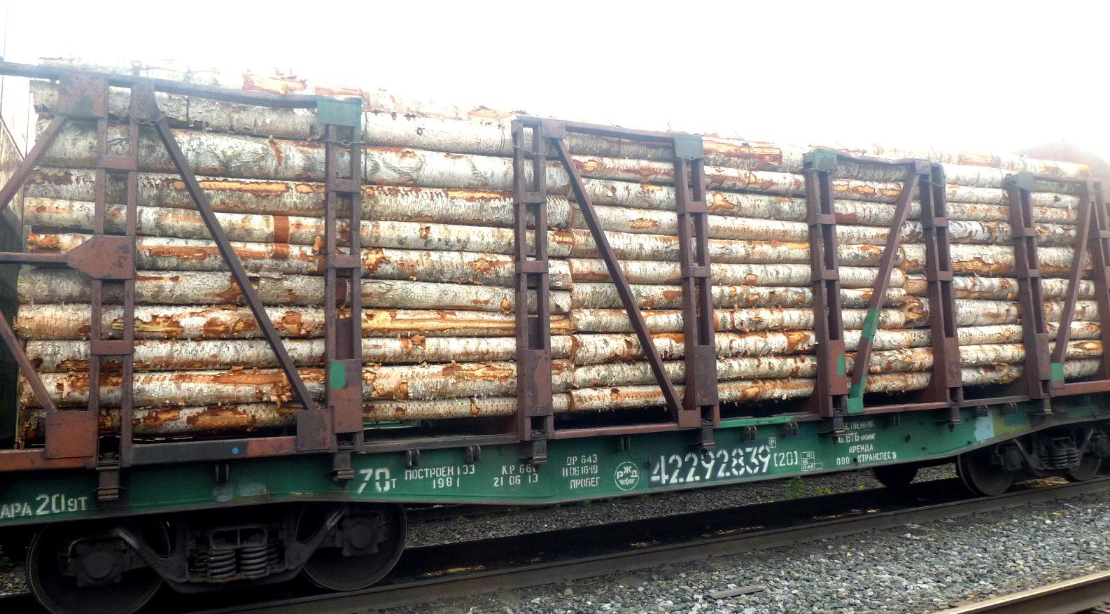 Забайкальские таможенники выявили контрабанду в Китай лесоматериалов на 83 млн рублей