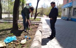 ​«Вечорка» озеленяет город и садит картошку напротив редакции (видео)