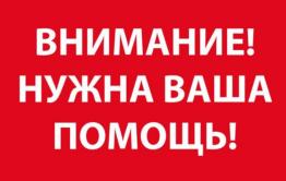 Объявлен сбор средств на помощь сотруднице нерчинской библиотеки — ее сын погиб в Красноярске