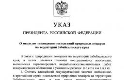Путин своим указом объявил Забайкалье зоной ЧС