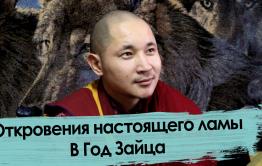 Почему Год Зайца? Ликбез от Батор-ламы