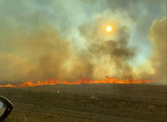 Степной пожар ликвидировали в Забайкалье