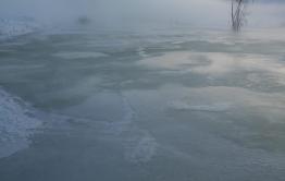 Курлыч затопили грунтовые воды (Фото и видео)