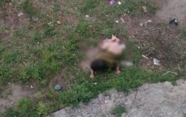 Новоорловское: 2-летний малыш выпал с балкона пятого этажа