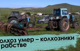 Вечорка ТВ: Колхоз умер – колхозники в рабстве