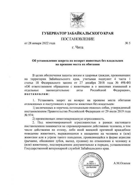 Осипов запретил возвращать отловленных собак на улицы Забайкалья