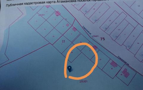 Атамановке опять угрожают лесорубы