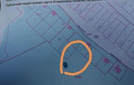 Атамановке опять угрожают лесорубы