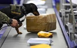 Забайкальские контрабандисты предстанут перед судом за попытку вывоза золота в Китай