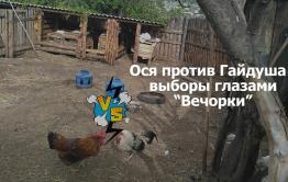 ​Шок-видео! Выборы губернатора Заяблонья глазами «Вечорки» 18+
