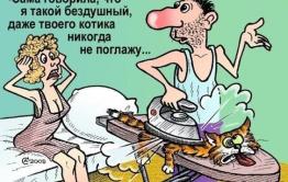 В Могоче разыскивают маньяка, убившего восемь котов и кошек