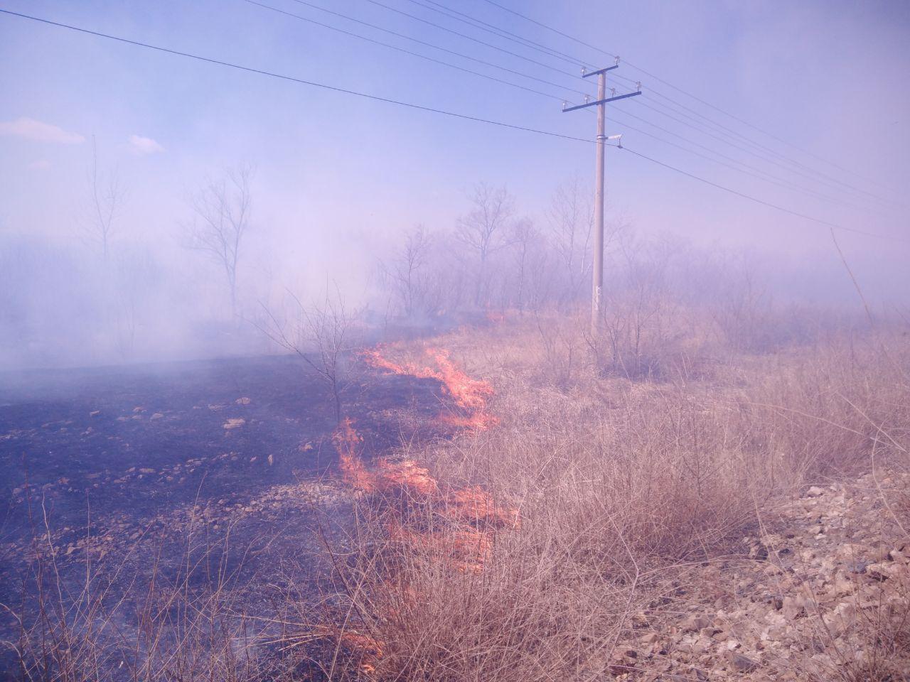 Поджигателя сухой травы догнали по следам от трактора в Улётовском районе