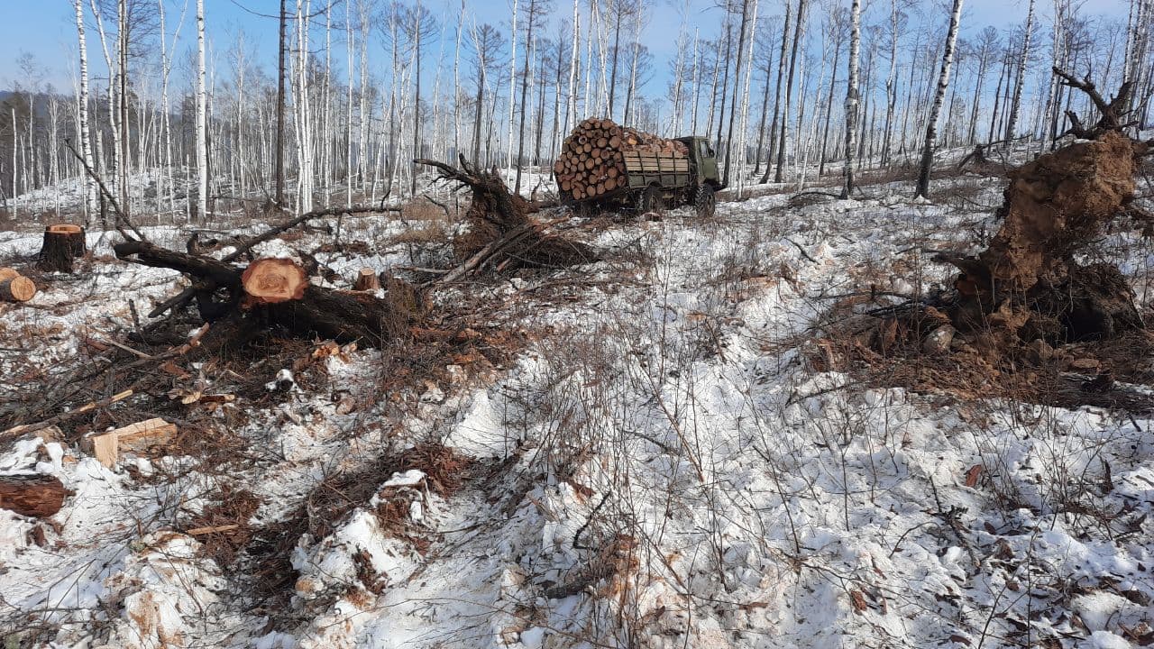 Жители села Сивяково до сих пор не могут получить лесобилеты, обещанные Минприродой