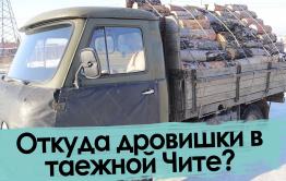 Забайкальские продавцы дров. Заблудились в трех соснах.