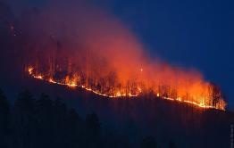​Лесной пожар 7 мая вплотную подошел к Карымской (ВИДЕО)