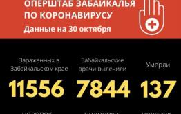В Забайкалье за сутки от COVID-19 скончались 5 человек, еще 229 человек заболели