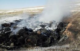 «Амурский» ящур напал на Забайкалье