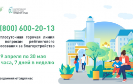 Горячую линию по голосованию за благоустройство территорий откроют в Забайкалье