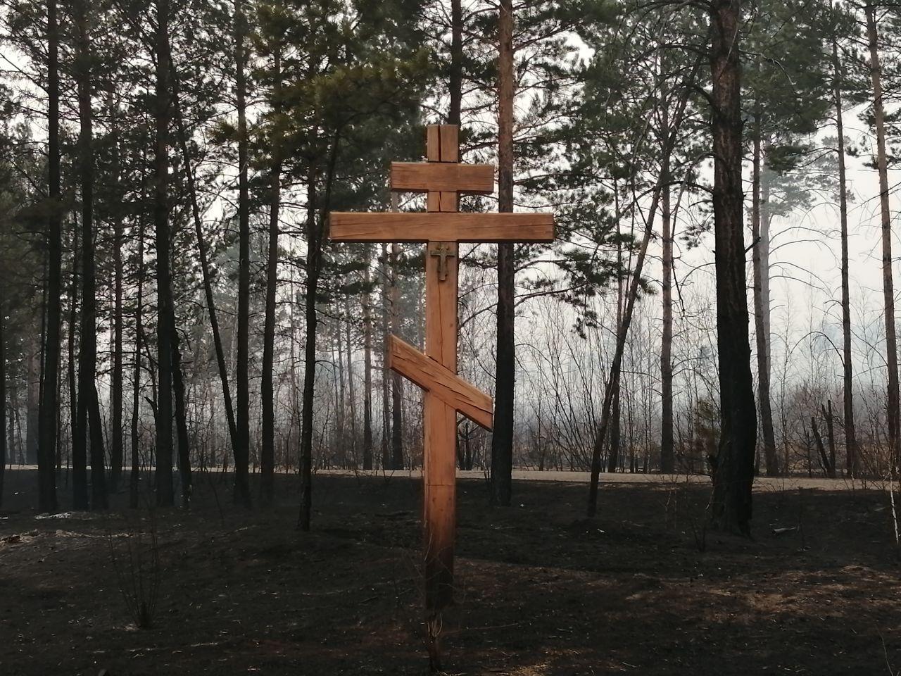 Обгоревшая земля вокруг уцелевшего креста под Лесным Городком. 27 апреля