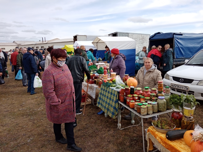 Ярмарка и конные скачки пройдут в Чите