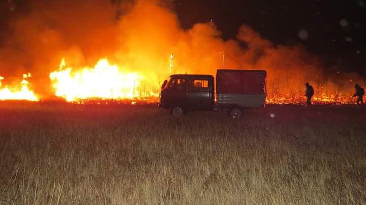 Пожарным удалось локализовать лесной пожар в «Цасучейском бору»