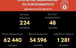 В Забайкалье выявили 224 новых случая заражения коронавирусом за сутки