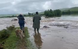 Жители села в Шелопугинском районе пожаловались на невыплату компенсации за ущерб от наводнения