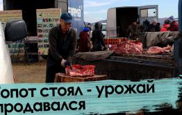 Сбыть или не сбыть? Топот стоял - урожай продавался
