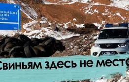 Скотомогильник чумных свиней: Как жители читинского поселка не дали властям себя отравить