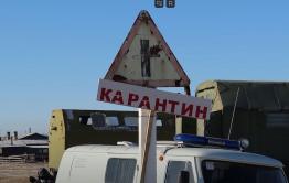 Губит коров не ящур: жители Красной Ималки говорят, что скот болен дерматитом