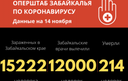 Более 260 забайкальцев заразились COVID-19 за сутки. Трое скончались 