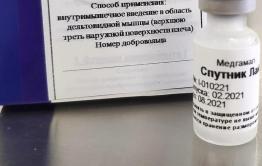 В России зарегистрировали вакцину «Спутник Лайт»