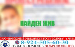 Потерявшийся мальчик в Могочинском районе сам пришел домой