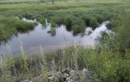 Уровень воды повысился на некоторых реках Забайкалья