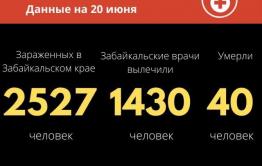 Еще 69 случаев коронавируса выявили в Забайкалье за сутки