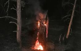 ​Горящий пень может стать причиной лесного пожара под Курорт-Дарасуном