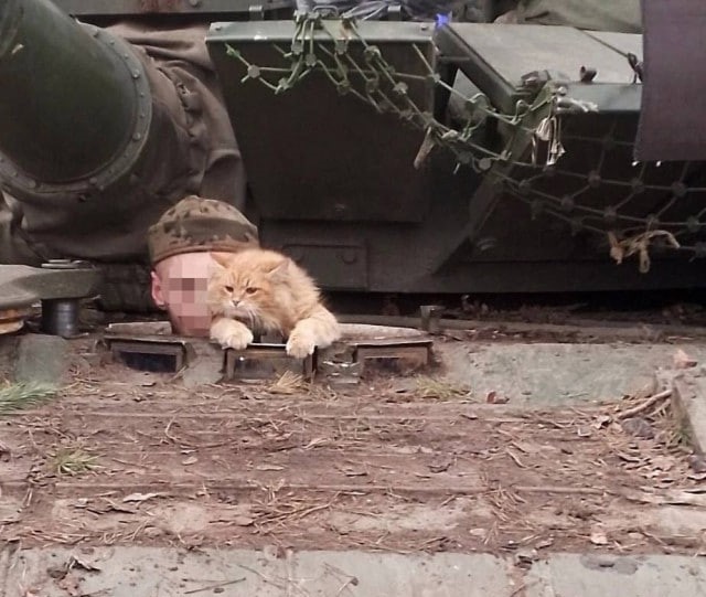 Приближаем победу вместе!