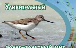 В Чите откроется фотовыставка  «Удивительный водно-болотный мир Даурии»