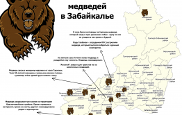 Медвежья доля