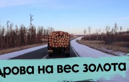 Почему в Забайкалье люди топят печки навозом?