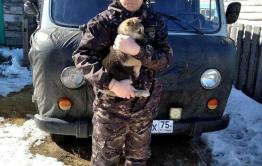 Судебный пристав спас замерзающего щенка в Забайкалье