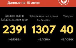 Коронавирус в Забайкалье: 66 новых случаев за сутки. Общее число зараженных — 2391