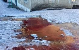 Из септика больницы в Могоче текут багровые реки. Прокуратура начала проверку.
