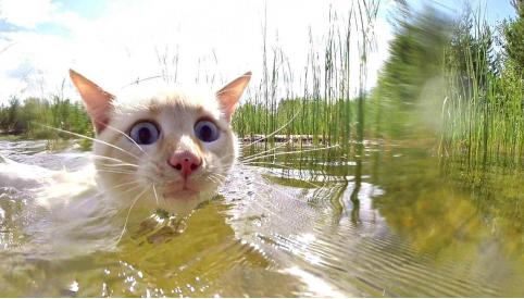 Вода в Читинке продолжает прибывать 