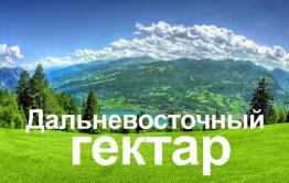 Год на Дальнем востоке. Полет нормальный.