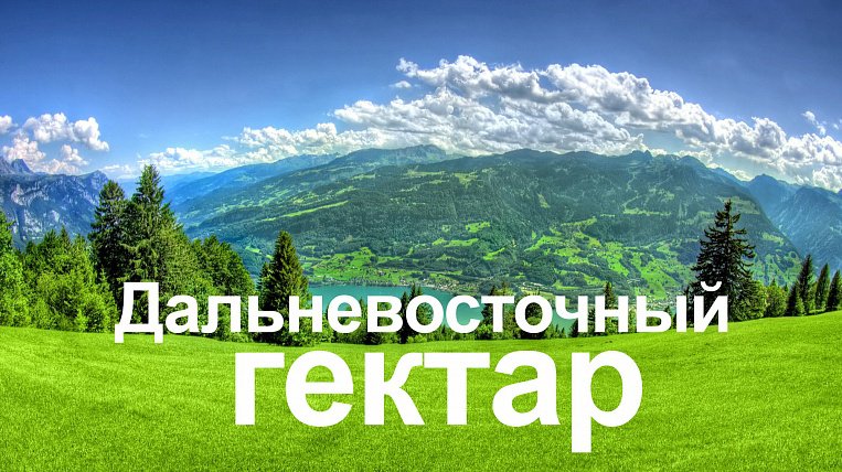 Год на Дальнем востоке. Полет нормальный.