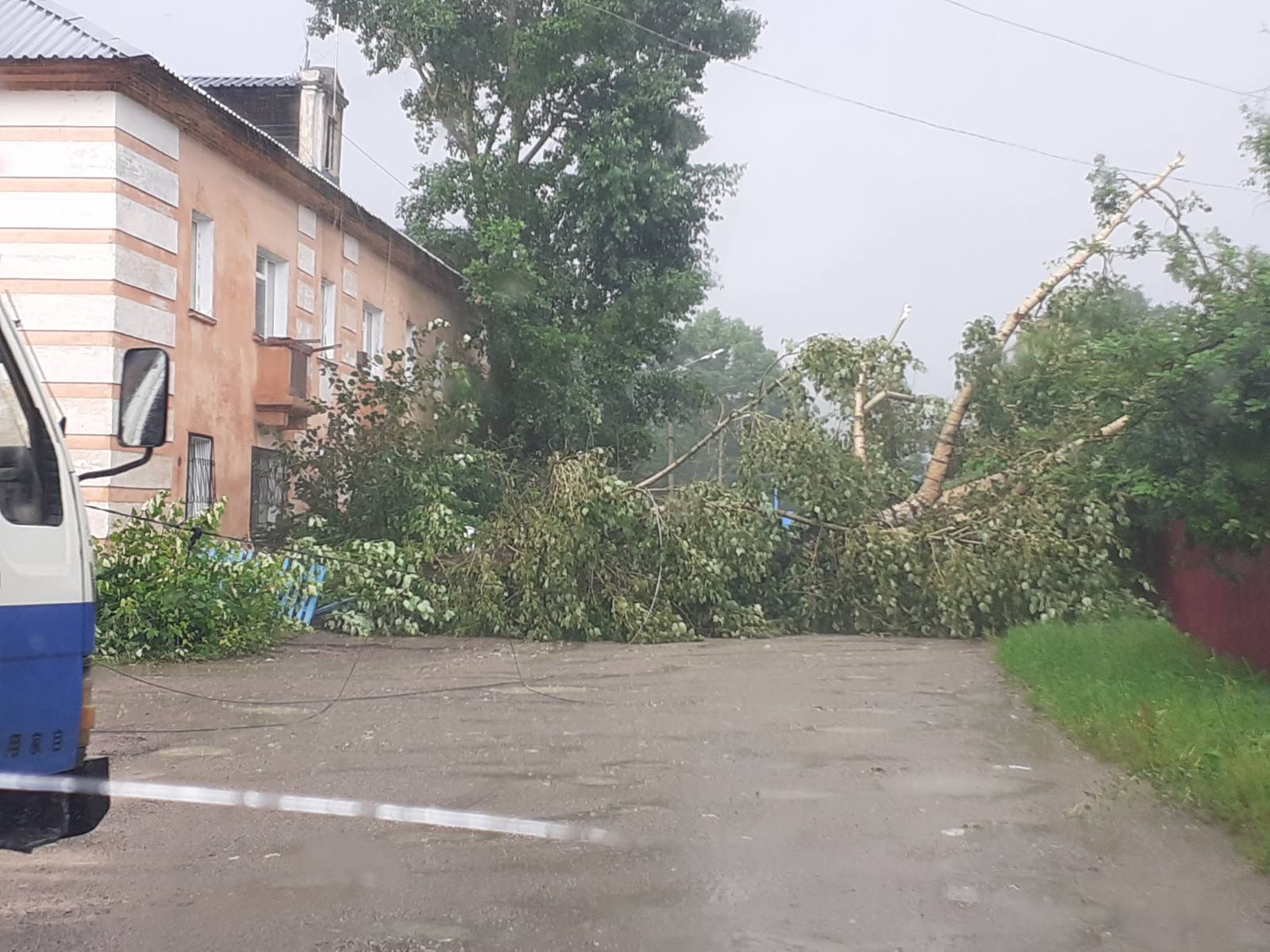 Штормовой ветер повалил деревья и забор в Сретенском районе (видео)
