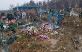 Коровы разрушили могилы на кладбище в селе Забайкалья