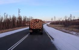 Дровяной голод: Как преодолеть дефицит дров краю, покрытому лесом на 70%?