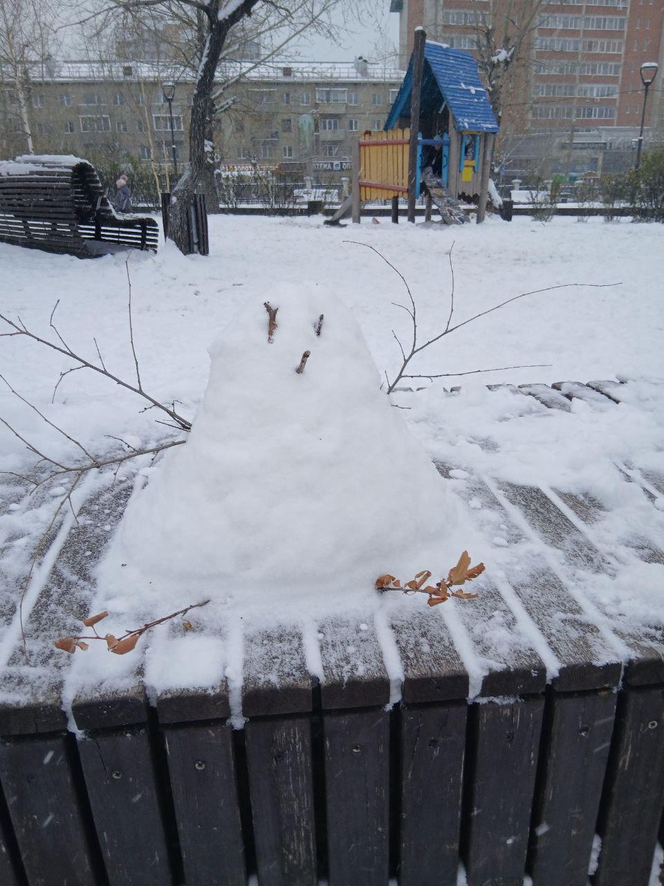 В субботу, 8 ноября, в Забайкалье пришла зима – выпал большой, настоящий снег. Фото читателей «Вечорки»